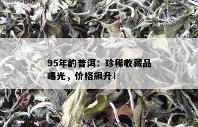 95年的普洱：珍稀收藏品曝光，价格飙升！