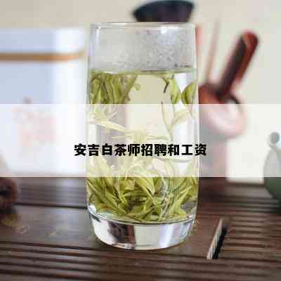 安吉白茶师招聘和工资