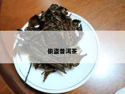 偷盗普洱茶