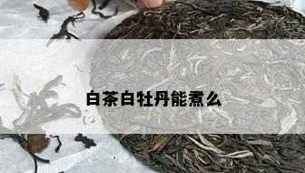 白茶白牡丹能煮么