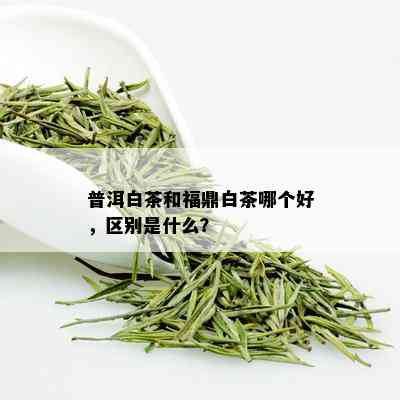 普洱白茶和福鼎白茶哪个好，区别是什么？