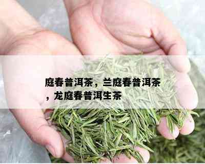 庭春普洱茶，兰庭春普洱茶，龙庭春普洱生茶