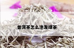 普洱茶怎么泡发绿茶