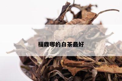 福鼎哪的白茶更好