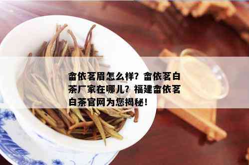 畲依茗眉怎么样？畲依茗白茶厂家在哪儿？福建畲依茗白茶官网为您揭秘！