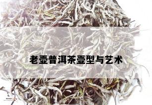 老壶普洱茶壶型与艺术