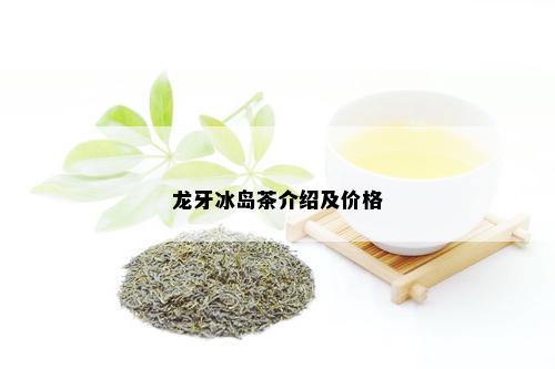 龙牙冰岛茶介绍及价格