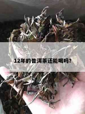 12年的普洱茶还能喝吗？