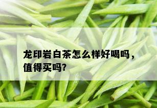 龙印岩白茶怎么样好喝吗，值得买吗？