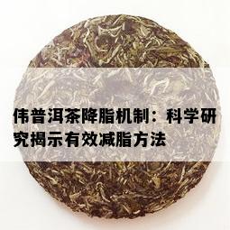 伟普洱茶降脂机制：科学研究揭示有效减脂方法