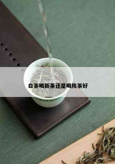 白茶喝新茶还是喝陈茶好