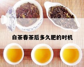 白茶春茶后多久肥的时机