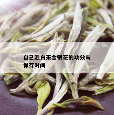 自己泡白茶金银花的功效与保存时间