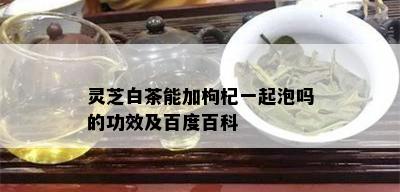 灵芝白茶能加枸杞一起泡吗的功效及百度百科