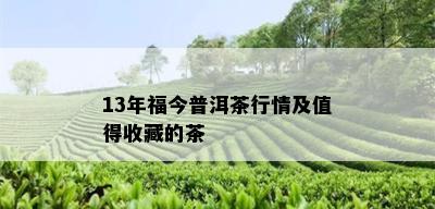 13年福今普洱茶行情及值得收藏的茶