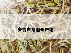 安吉白茶潮州产地