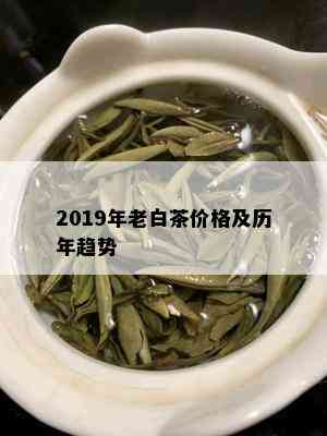 2019年老白茶价格及历年趋势