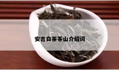 安吉白茶茶山介绍词