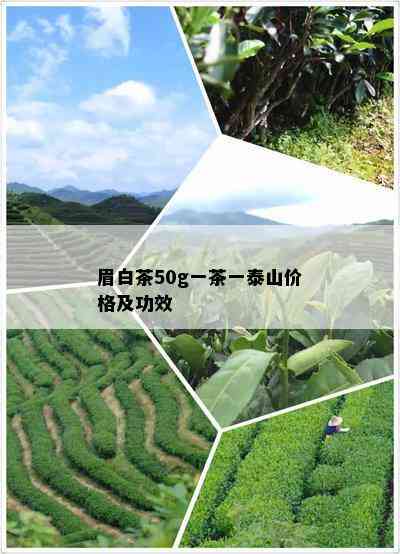 眉白茶50g一茶一泰山价格及功效