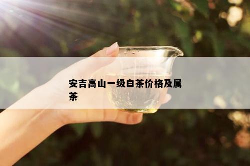 安吉高山一级白茶价格及属茶