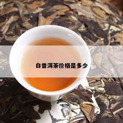 白普洱茶价格是多少