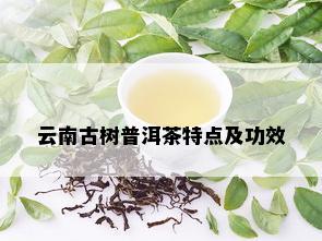 云南古树普洱茶特点及功效