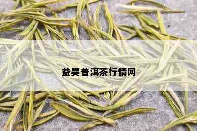 益昊普洱茶行情网