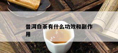 普洱白茶有什么功效和副作用