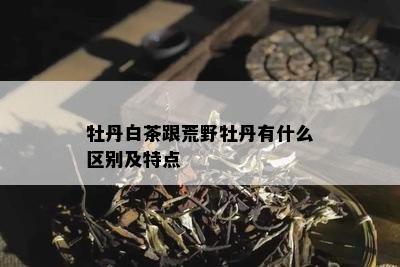 牡丹白茶跟荒野牡丹有什么区别及特点