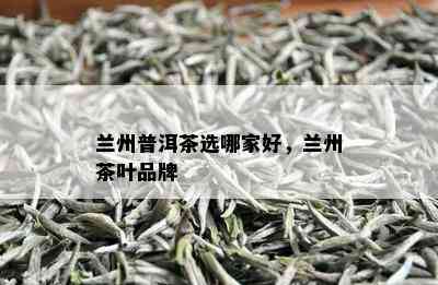 兰州普洱茶选哪家好，兰州茶叶品牌