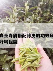 白茶寿眉搭配陈皮的功效及好喝程度