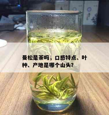 曼松是茶吗，口感特点、叶种、产地是哪个山头？