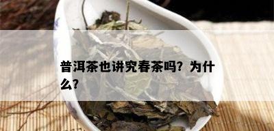 普洱茶也讲究春茶吗？为什么？