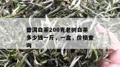 普洱白茶200克老树白茶多少钱一斤，一盒，价格查询