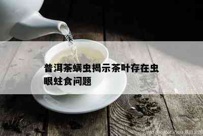 普洱茶螨虫揭示茶叶存在虫眼蛀食问题