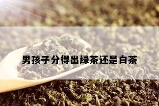 男孩子分得出绿茶还是白茶