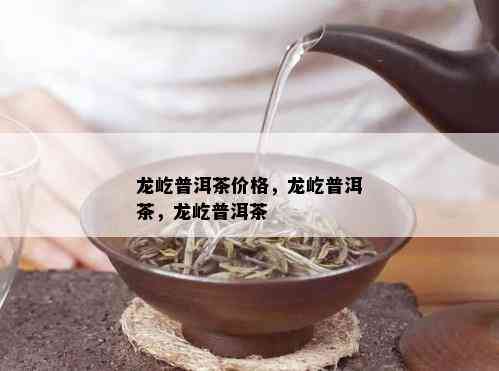 龙屹普洱茶价格，龙屹普洱茶，龙屹普洱茶