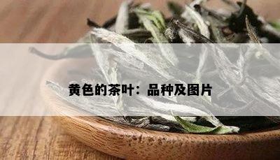 黄色的茶叶：品种及图片