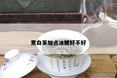 煮白茶加点冰糖好不好