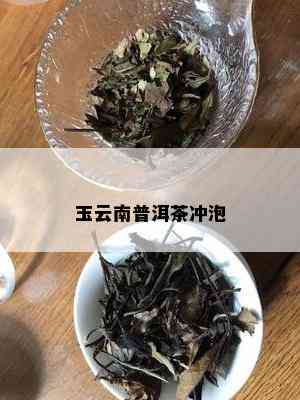 玉云南普洱茶冲泡