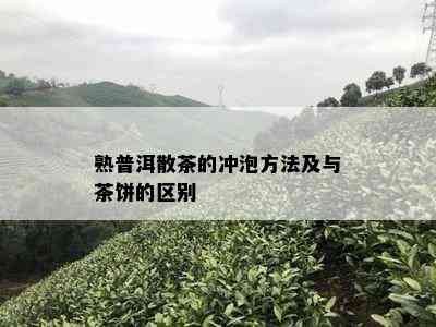 熟普洱散茶的冲泡方法及与茶饼的区别