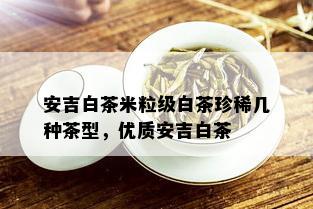 安吉白茶米粒级白茶珍稀几种茶型，优质安吉白茶