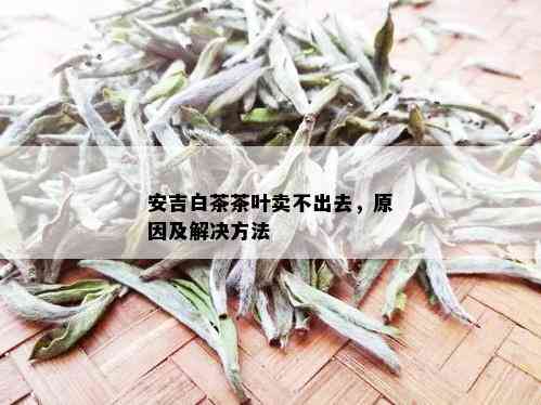 安吉白茶茶叶卖不出去，原因及解决方法