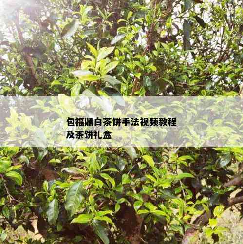 包福鼎白茶饼手法视频教程及茶饼礼盒