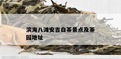 滨海八滩安吉白茶景点及茶园地址