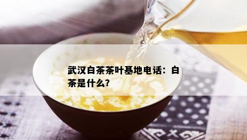 武汉白茶茶叶基地电话：白茶是什么？