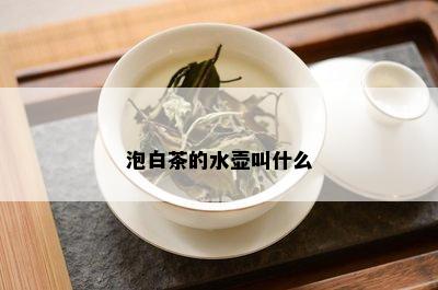 泡白茶的水壶叫什么