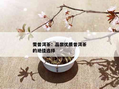 雯普洱茶：品尝优质普洱茶的绝佳选择