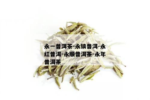 永一普洱茶-永镇普洱-永红普洱-永顺普洱茶-永年普洱茶