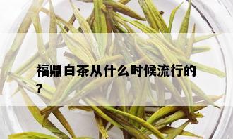 福鼎白茶从什么时候流行的？